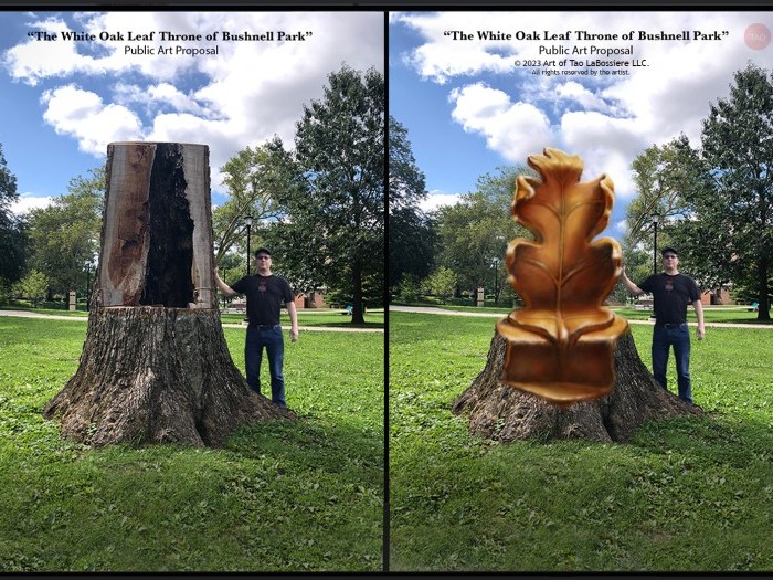 Projects | Tree As Art - Another Life for the Charter Oak Scion